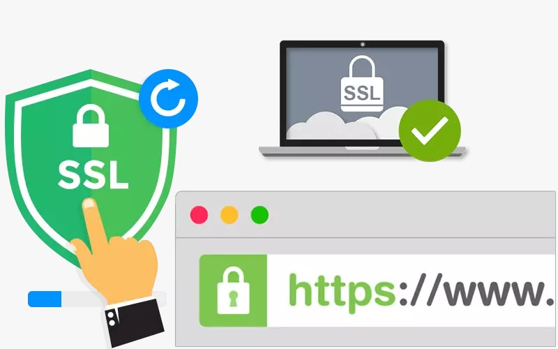 Website Security